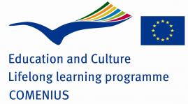 Logo comenius 2
